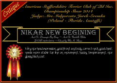 Nikar New Begining.png